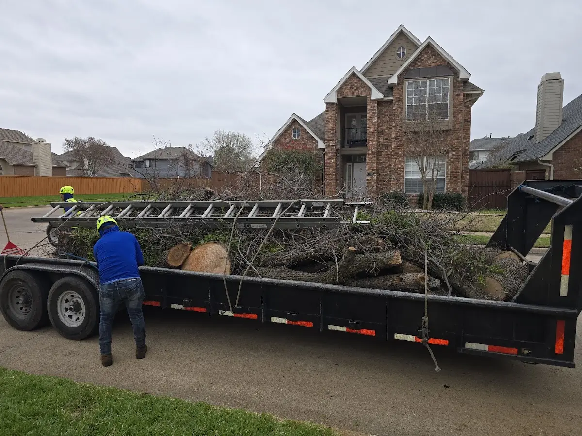 Expert Tree Fertilization with proper safety equipment in Kenai